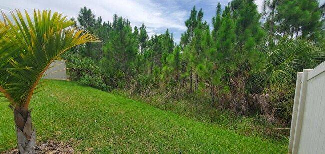 Building Photo - 4227 Broomsedge Cir