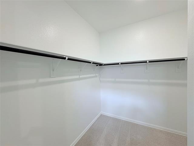 Building Photo - 513 Dorothy Dr