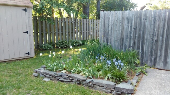 Building Photo - 237 Allen Ave