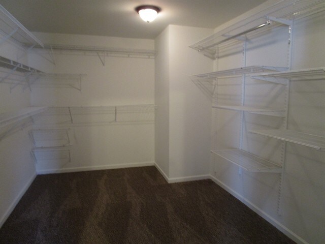 Building Photo - 406 Howell Xing