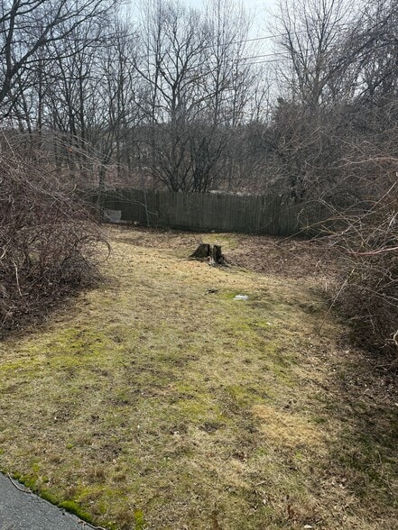 Backyard - 87 Auburn St