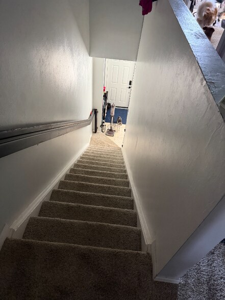 Building Photo - 3646 Pine Oak Cir