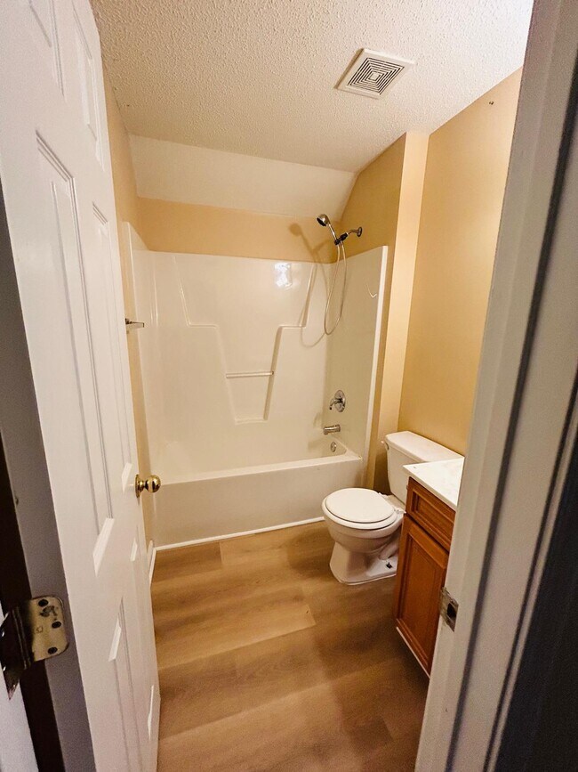 Bathroom1 - 373 Indian Branch Dr