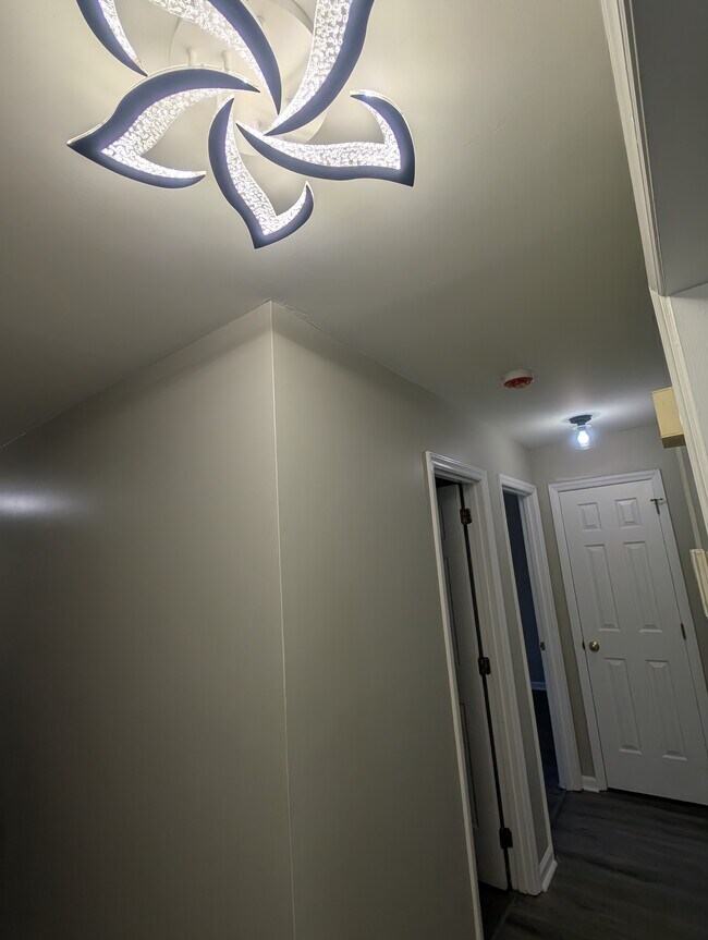 Building Photo - 5828 Amity Springs Dr