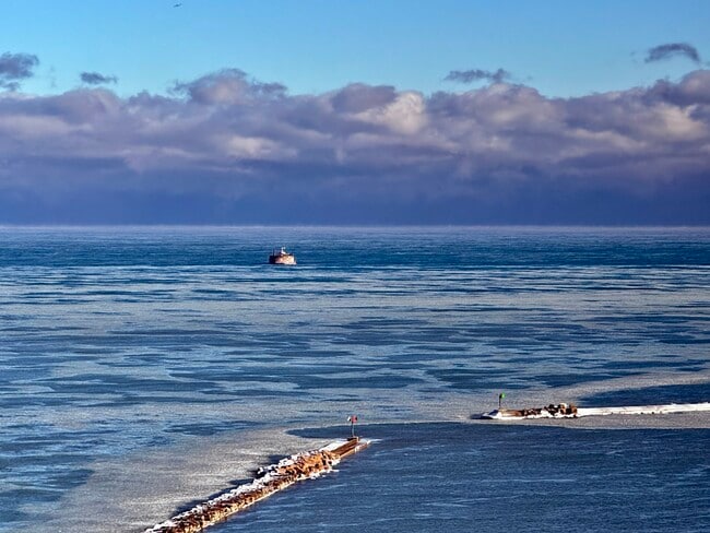 Building Photo - 900 N Lake Shore Dr