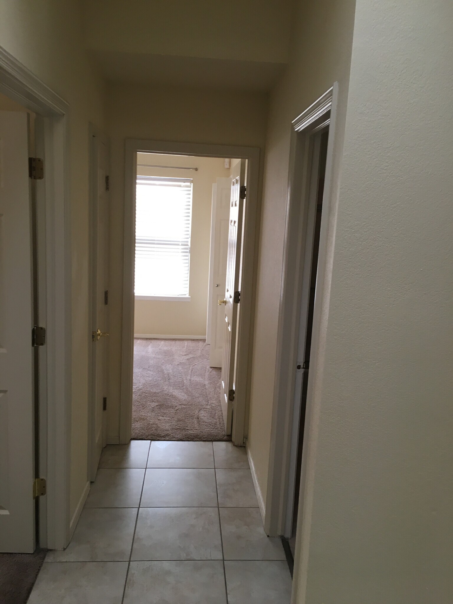 Building Photo - 5036 Shadow Mountain Rd