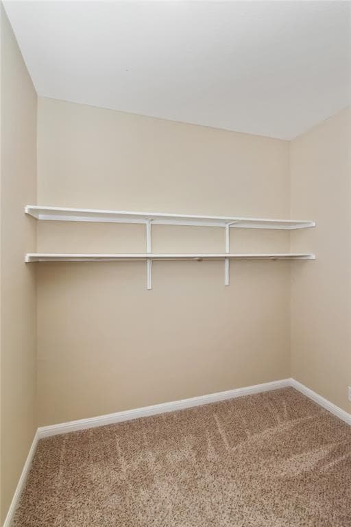 Building Photo - 13400 Briarwick Dr