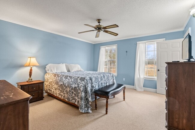 Building Photo - 12313 Jacksonville-Cato Rd