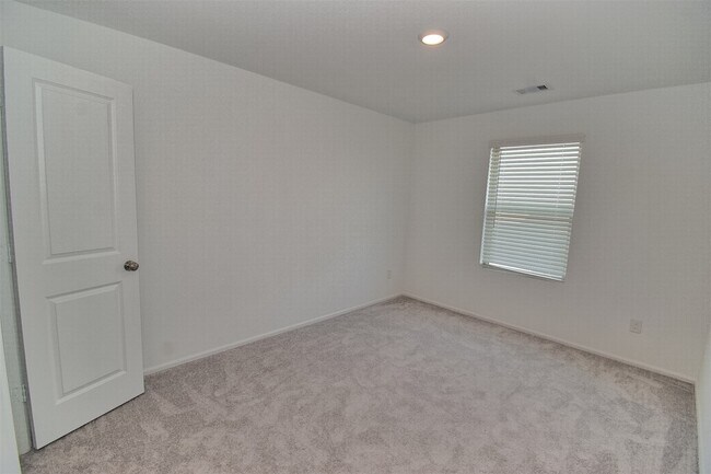 Building Photo - 4207 Palmetto Grv Ln