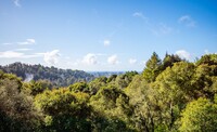 Building Photo - Beautiful & Spacious 3 Bedroom, 3 Bath Soq...