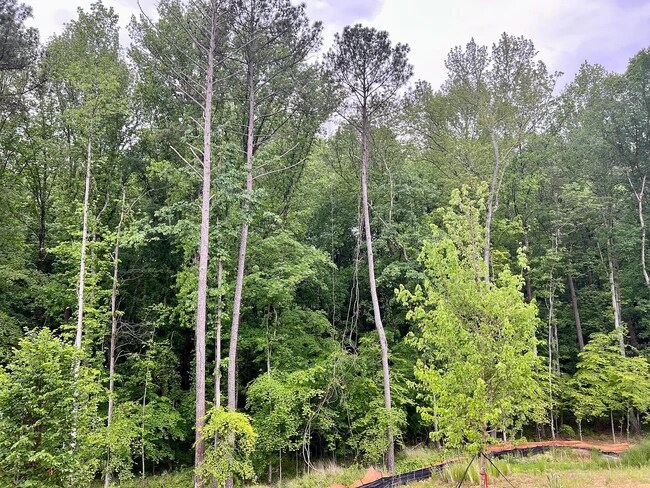 Building Photo - 3537 Cardinal Dr