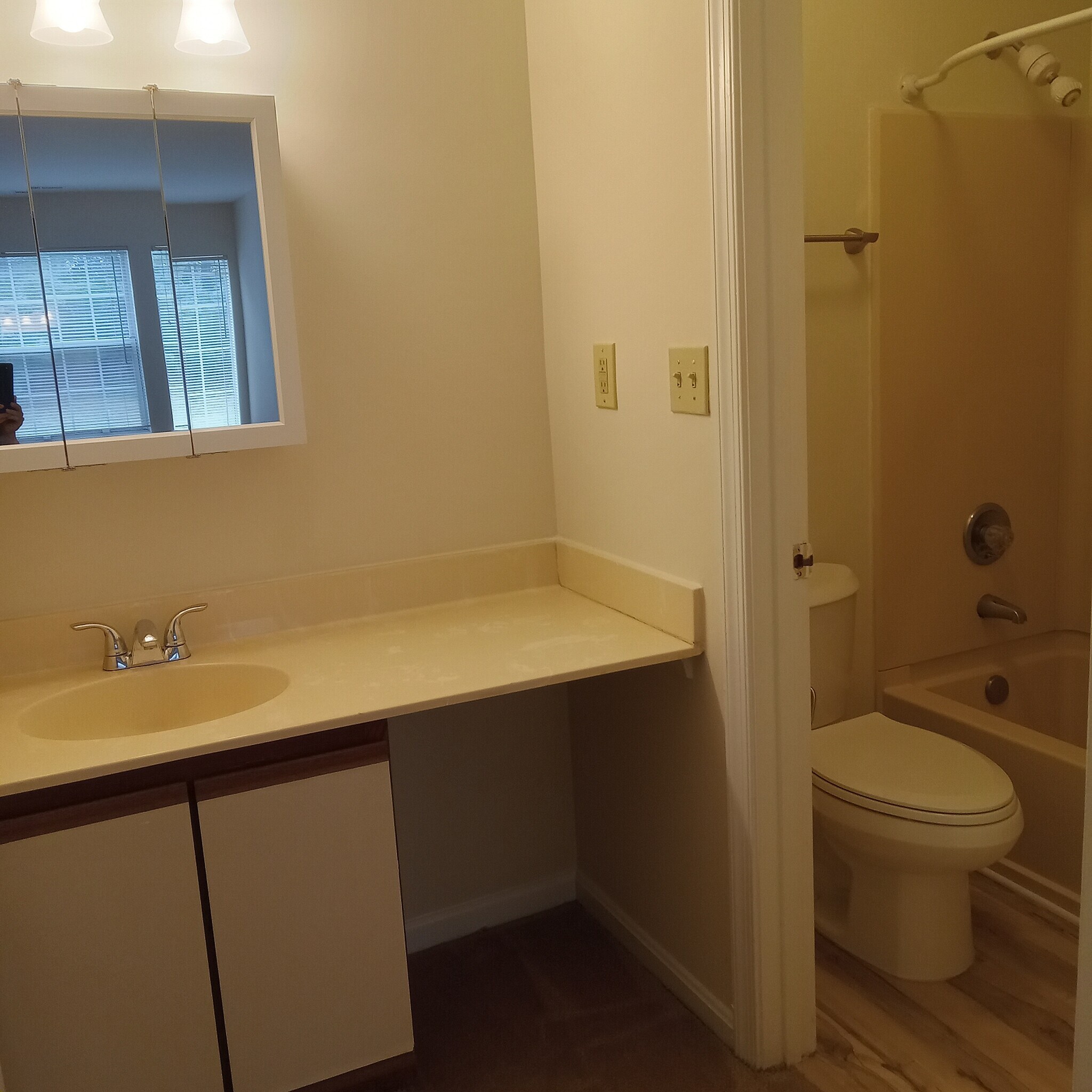 Master BR vanity and bath - 8335 Montgomery Run Rd