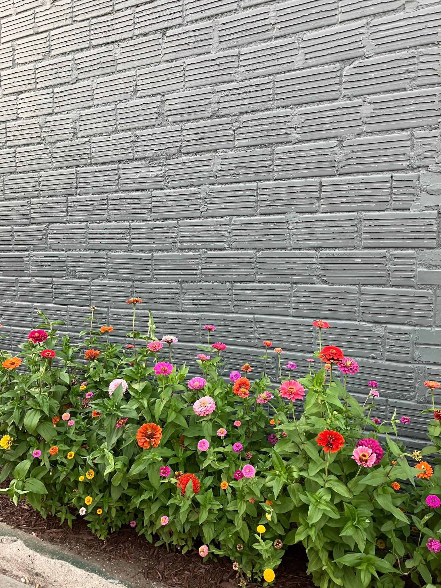 Side of Building - 231 2nd Ave NE