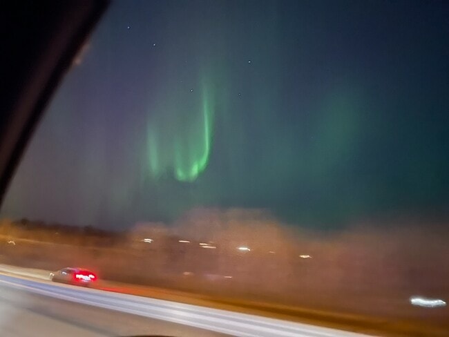 Building Photo - A Slice Of Moose Paradise - “The Bungalow Below”