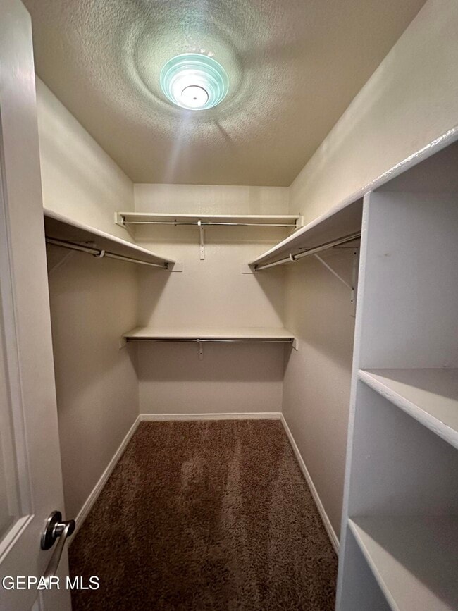 Building Photo - 5429 Francisco Roque Dr