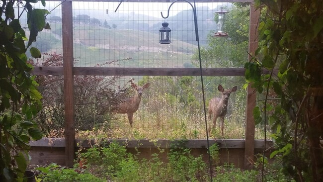 Building Photo - 20400 Summercrest Dr