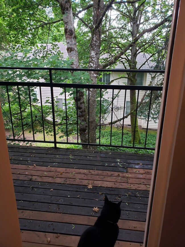 Veiw of deck from patio door - 1040 Columbia Ridge Dr