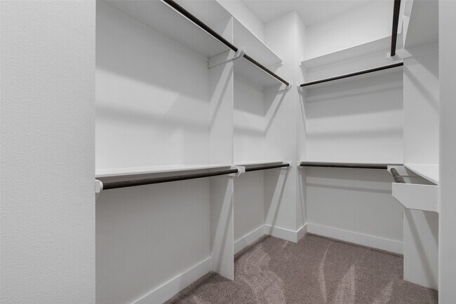 Building Photo - 513 Schweikhardt St
