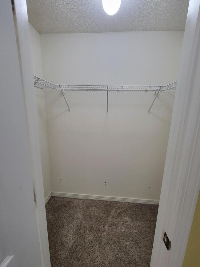 Building Photo - 2158 Punham Ct