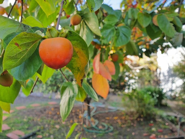 Building Photo - 1718 Le Roy Ave