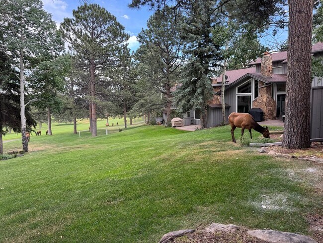Building Photo - Spacious 4BR Condo in Evergreen