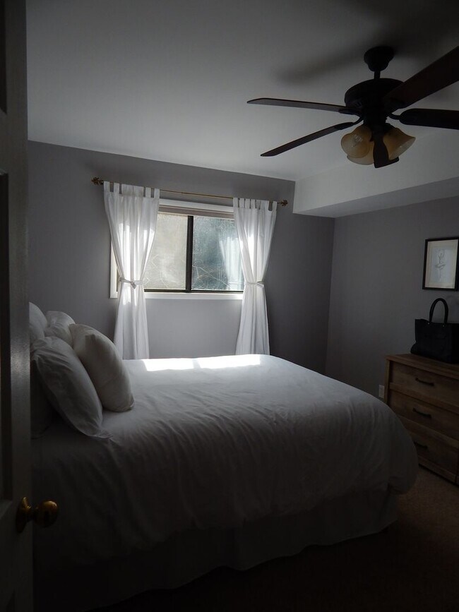 Building Photo - Great Location 1.5 miles from King St Metro