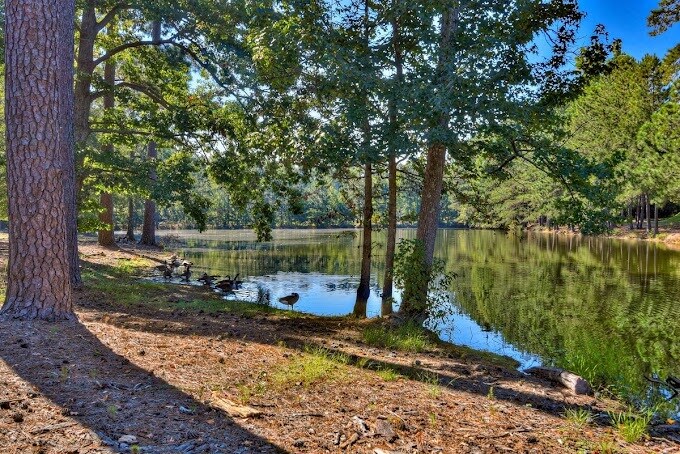 Building Photo - 1416 Feldspar Ct