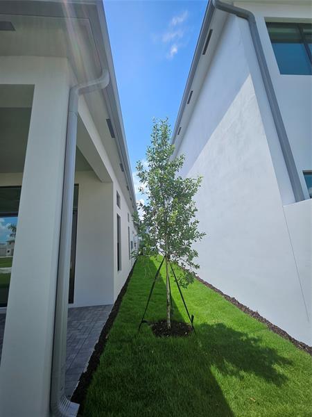Building Photo - 9421 Tulip Leaf Ct