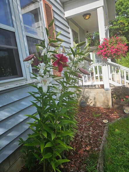 Beautiful Landscaping - 607 W Picnic St