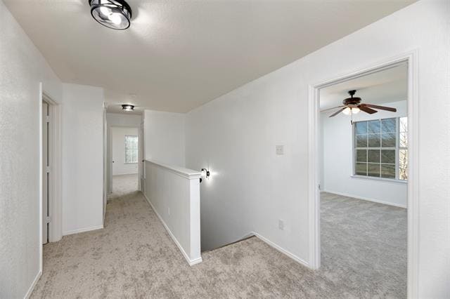 Building Photo - 4006 Collin Ct