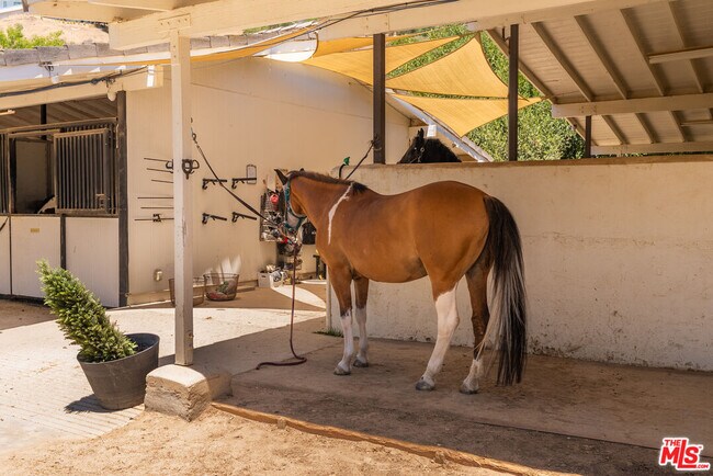 Building Photo - 6 Buckskin Ct