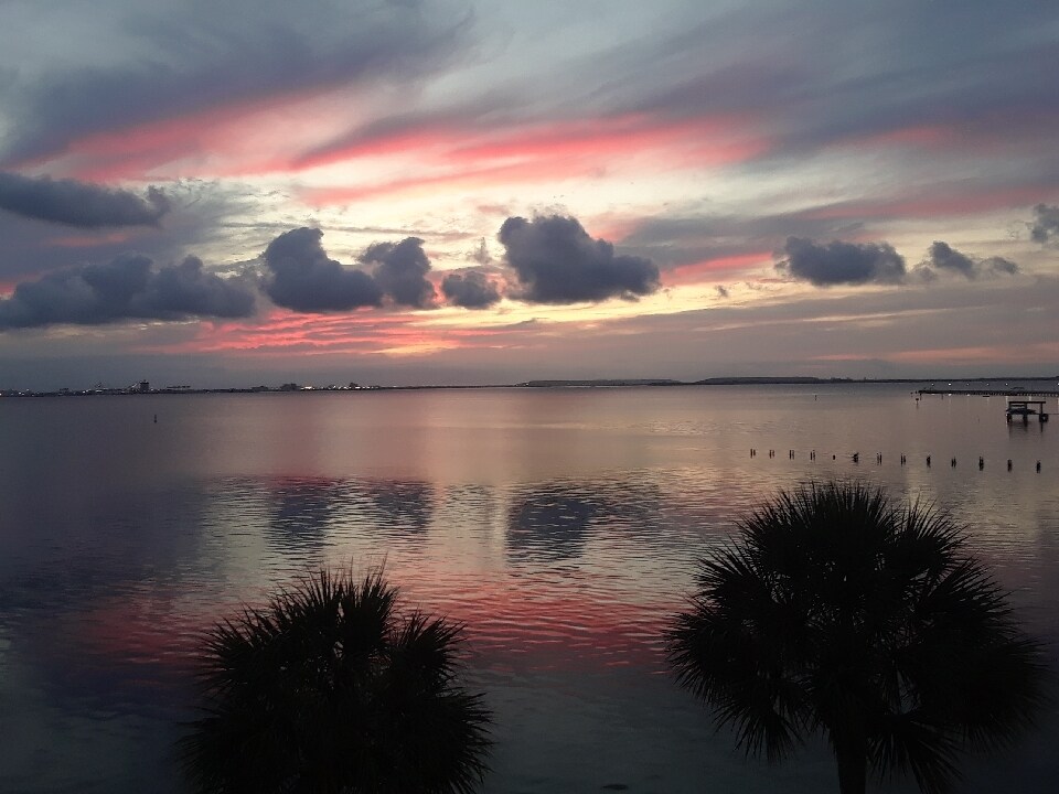Sunrise - 4950 Bayshore Blvd