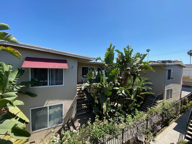 COURTYARD - 3545 Jasmine Ave