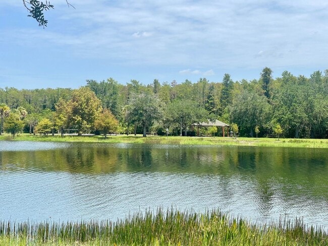 Building Photo - 10826 Eclipse Lily Way