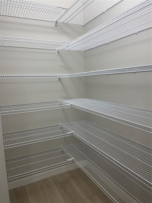 Building Photo - 34209 Scarlet Sage Ct