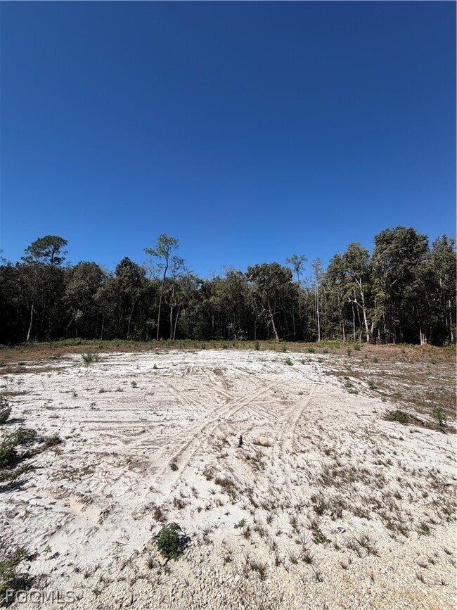 Building Photo - 11595 Tomato Rd