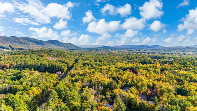 Building Photo - 291 Ash St