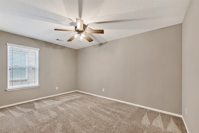 Building Photo - 4915 Ibis Lake Ct