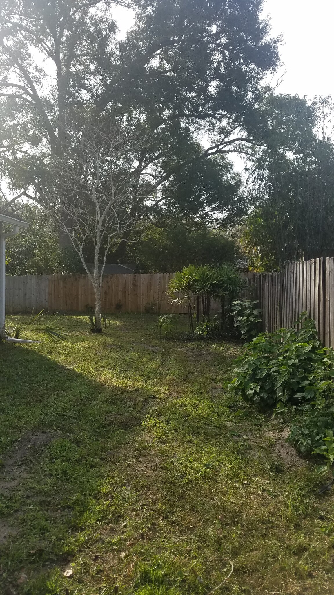 Building Photo - 2306 S Bumby Ave