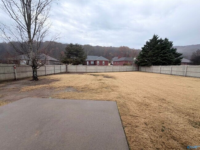 Building Photo - 2813 Willowick Tr SE