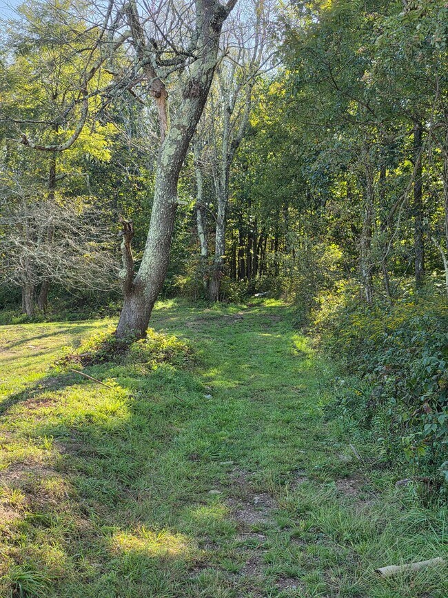 Building Photo - 207 Hawk Run