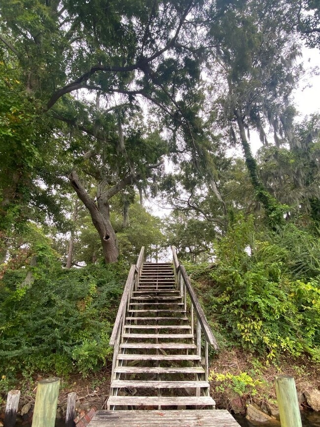 Building Photo - Beautiful 3 BR/2.5 BA Waterfront Home on Trent River!