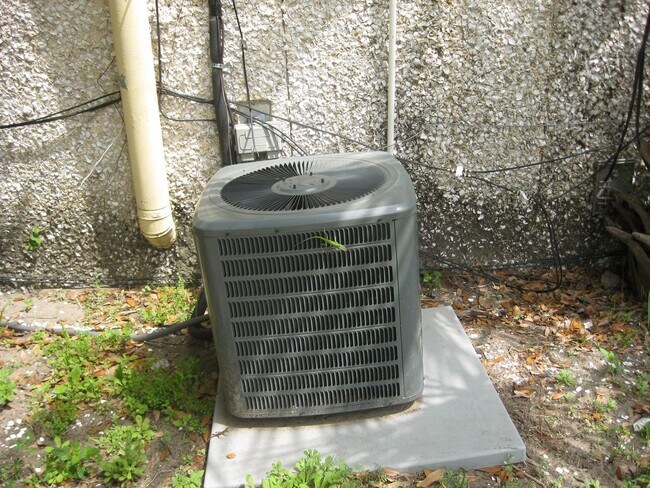 Building Photo - cute house