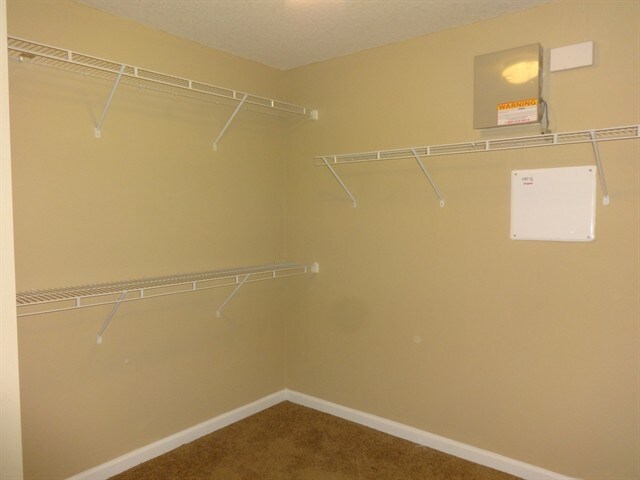 Building Photo - 1433 Creek Point Boulevard