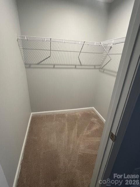 Building Photo - 1008 Skipjack Ln