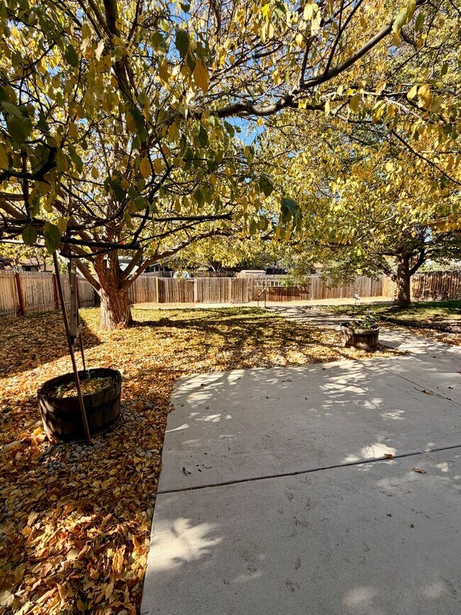 Building Photo - Amazing 3bed/2 bath with finished basement.