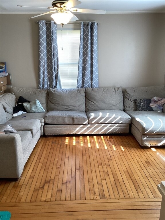 Building Photo - 14 Clark St