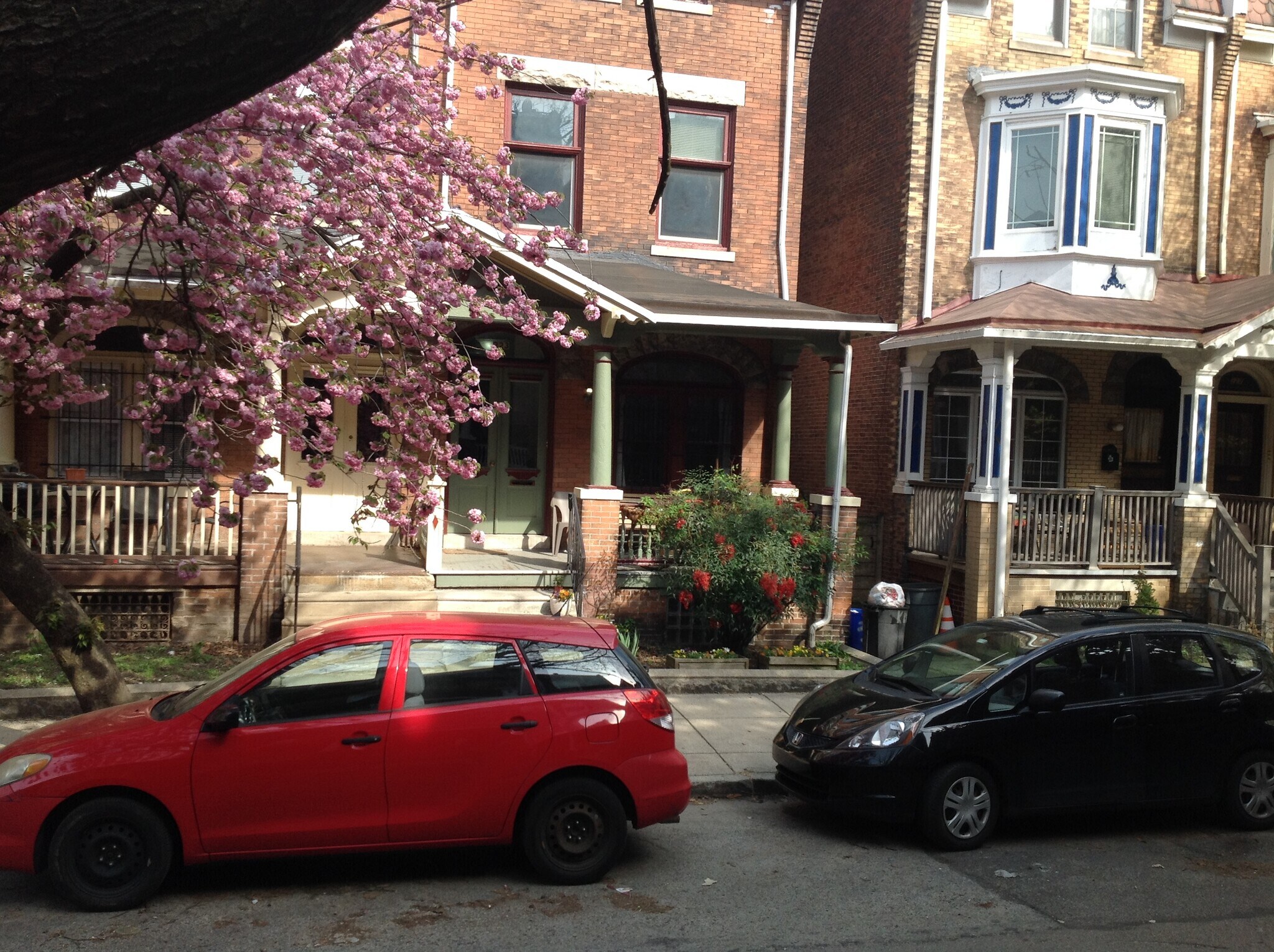 Building Photo - 223 Buckingham Pl