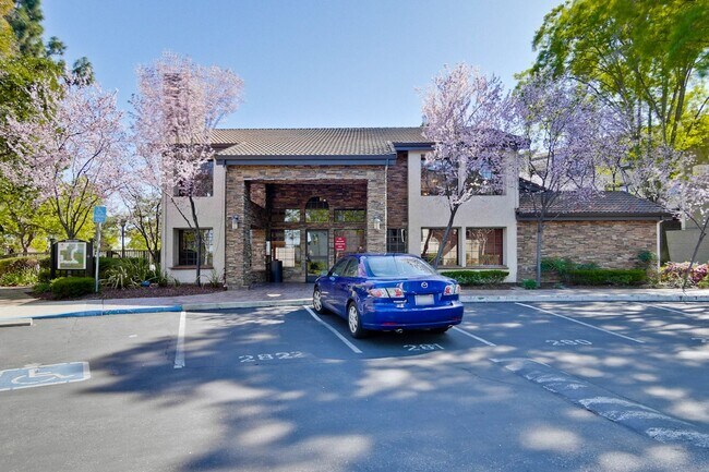 Building Photo - 1 Bed 1 Bath With Lots of Amenities!