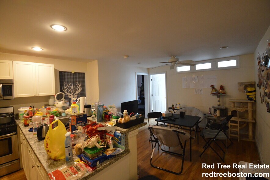 Primary Photo - 56 Egmont St